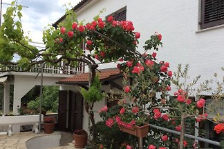 casa Istra