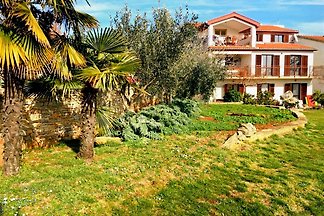 Apartament Apartment Istra 3