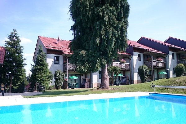 Herr W. Kurch u. Sigmar Nordhaus Herr W. Kurch u. Sigmar Nordhaus