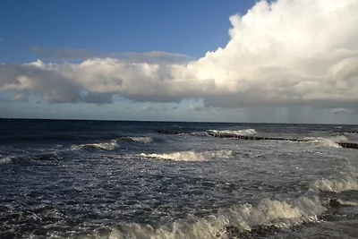 Nest am Meer