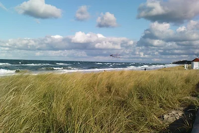 Nest am Meer