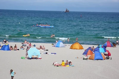 Nest am Meer