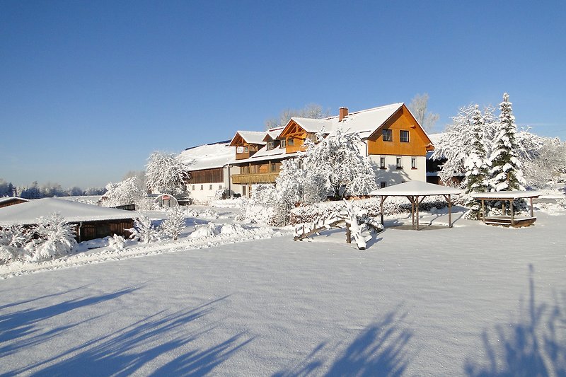 Winterliches Ferienhaus mit Bergblick, umgeben von verschneiten Bäumen und einem Skigebiet.