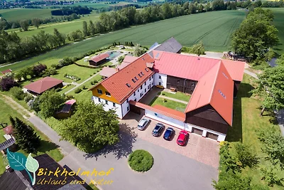 Birkholmhof, Pool, Massagen...
