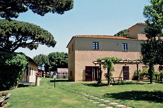 Dominio 'Il Vignone'