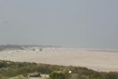 Het Veerse Bree
