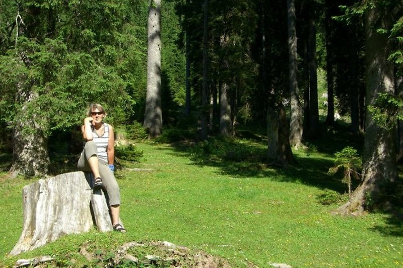 Märchenwiese im Bodental (ca. 25 km)