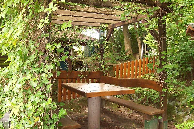 Rustikaler Garten mit Tisch, Pflanzen und Wald im Hintergrund.