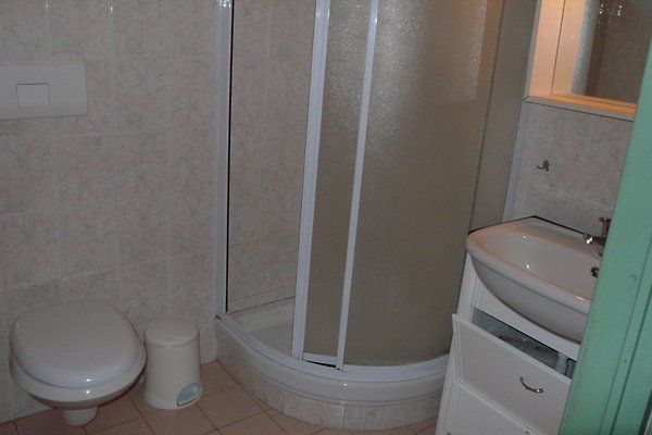 Casa Simonita, app. Rustico in Bibbona - Frau R. Dari