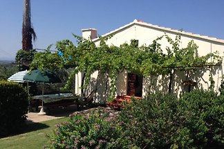 Estate 'Il Ciliegio'