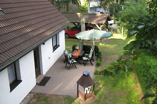Ostsee - Ferienhaus im Darßwald