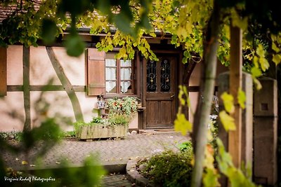 Magnifique Maison Typique en Alsace
