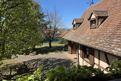 Gite-jebsheim.fr - Das Haus Danner