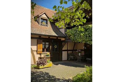 Gite-jebsheim.fr - Das Haus Danner