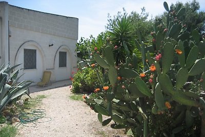 Casa Bella Vista