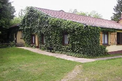 Ferienhaus Vogesen