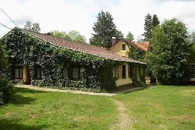 Ferienhaus Vogesen
