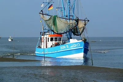Amrum 23