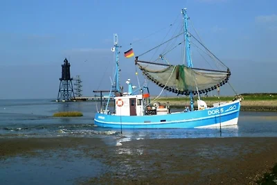 Preiswerte Fewo, Borkum 6