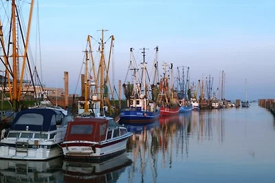 Preiswerte Fewo, Borkum 6