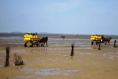 Rotta di spedizione del mondo vista mare