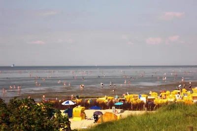 Jan alla spiaggia vista diga con WLAN