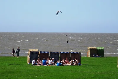 FW Amrum Nr. 18