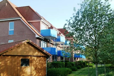 FW Amrum Nr. 18