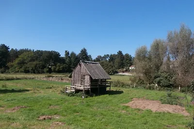Landhaus Seenland