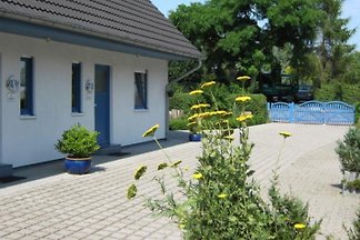 Ostsee-Ferienhaus