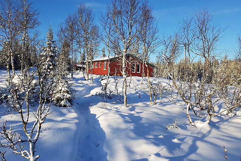 Cabin ii Winter