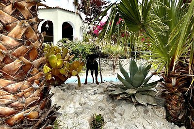 Haus  am Berg mit Meerblick + Pool