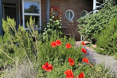 Ferienhaus Schöne Aussichten