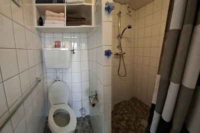 Ferienhaus Zoutelande Zeeland