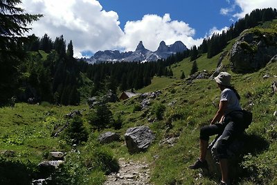 APARTMENTS SUGGADIN Fewo HOCHJOCH