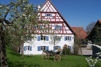 # # Les appartements spéciaux