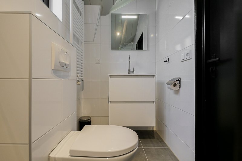 Badezimmer mit Spiegel, Toilette, Waschbecken und Dusche.