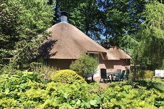 VH007 - Ferienhaus im Exloo