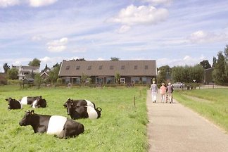 Ferienhaus Ouderkerk-aan-den-Ijssel