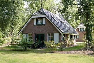 DZ008 - Ferienhaus im Hooghalen