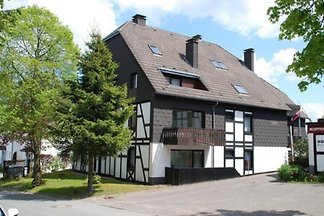 DS276 - Ferienhaus im Winterberg