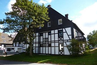 DS300 - Ferienhaus im Winterberg