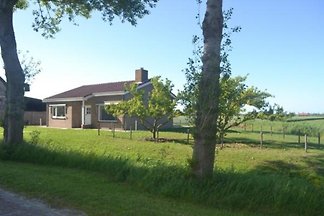ZE557 - Ferienhaus im Vrouwenpolder