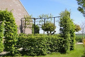 ZE524 - Ferienhaus im Kattendijke