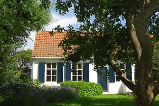 ZE415 - Ferienhaus im Aagtekerke