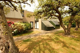 ZE951 - Ferienhaus im Burgh-Haamstede