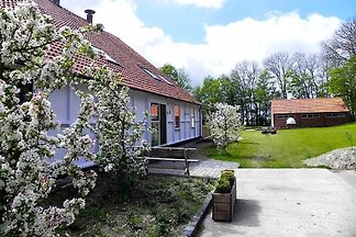 OV151 - Ferienhaus im Blokzijl