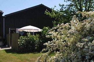 ZE176 - Dom wakacyjny w Vrouwenpolder