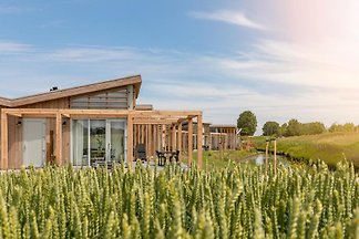 ZE705 - Dom wakacyjny w Kamperland