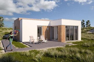 ZE725 - Ferienhaus im Nieuwvliet